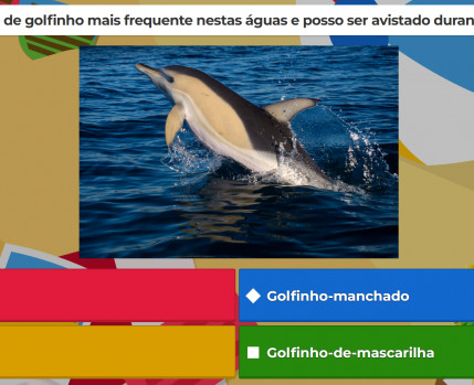 Quizzes de Verão 2022