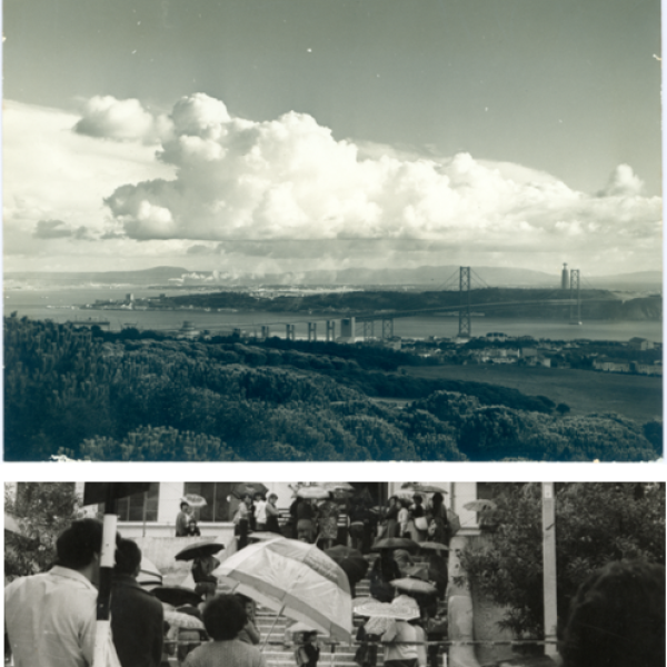 padrão newsletters_Câmara Municipal Almada