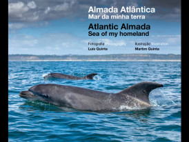 Projeto CavAlMar - Quantos são e onde vivem os cavalos-marinhos de Almada?