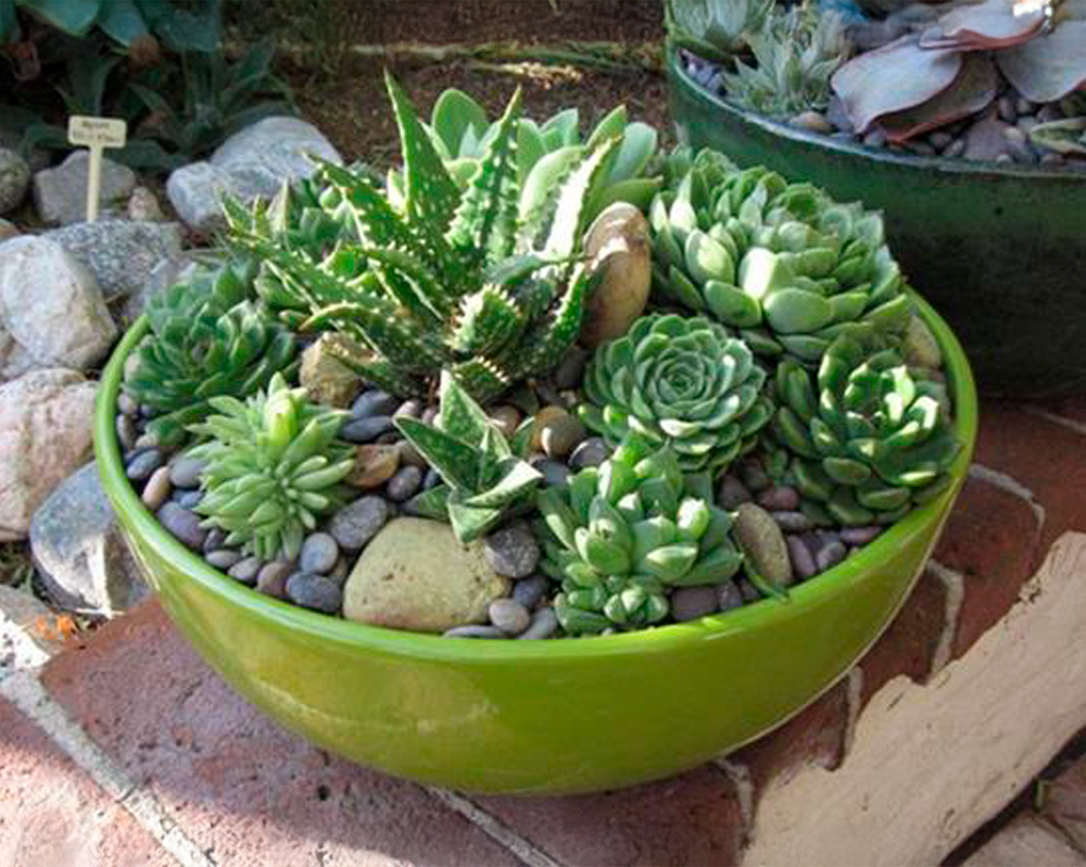 Arranjos de mesa com flores