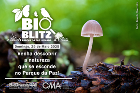 Bioblitz 2025