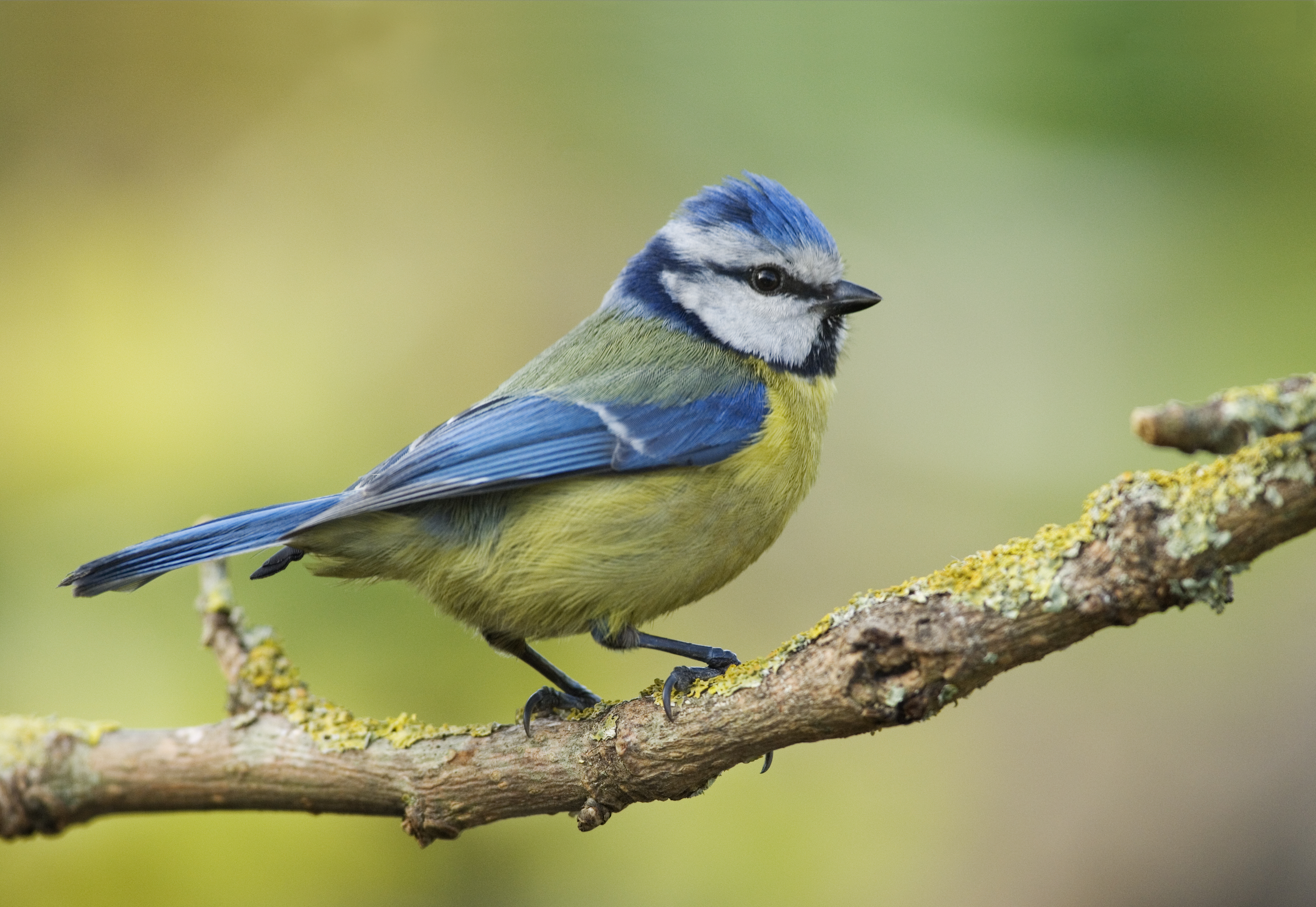 Estação da Biodiversidade do Parque da Paz