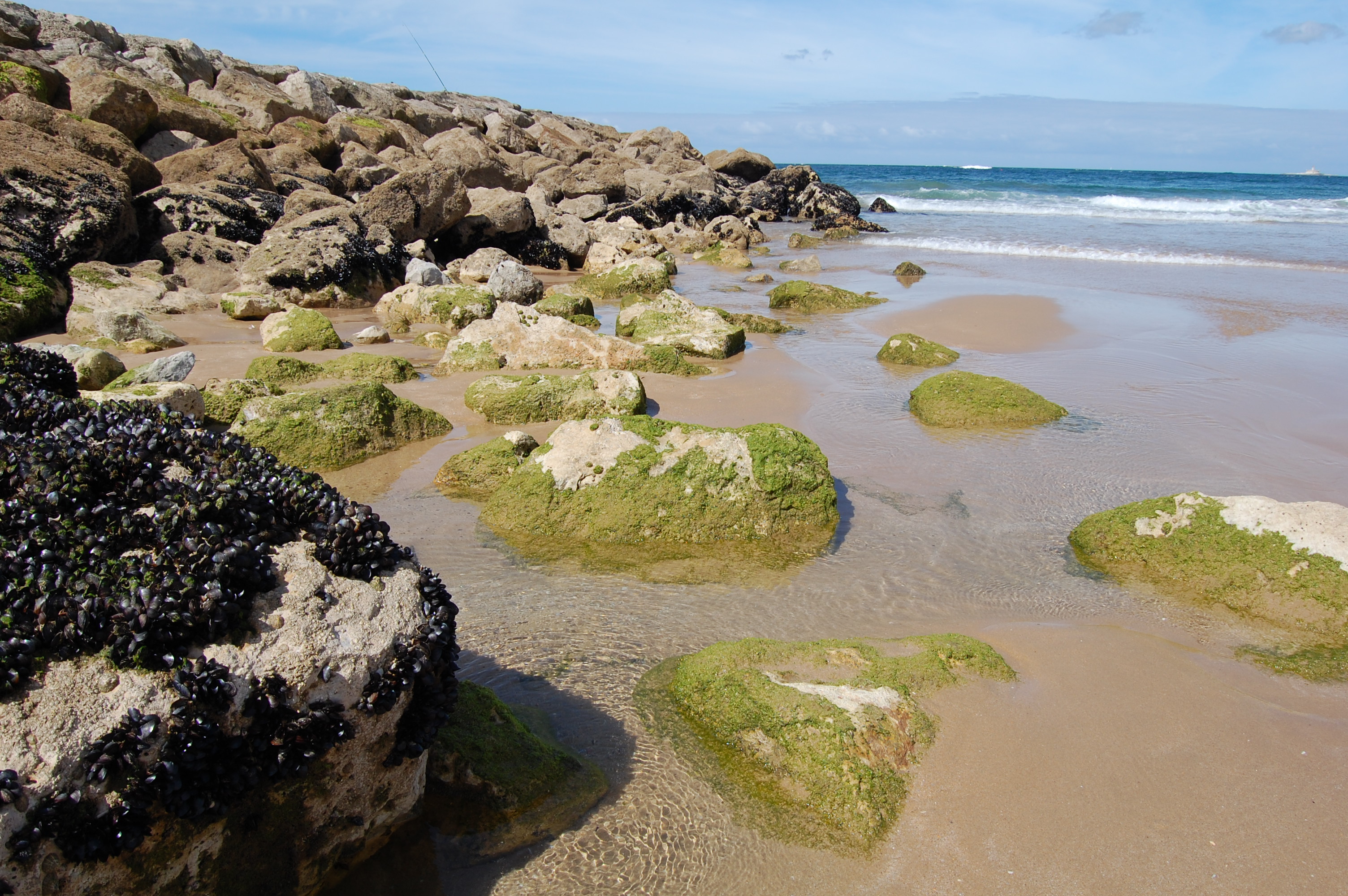 Património Natural da Costa da Caparica