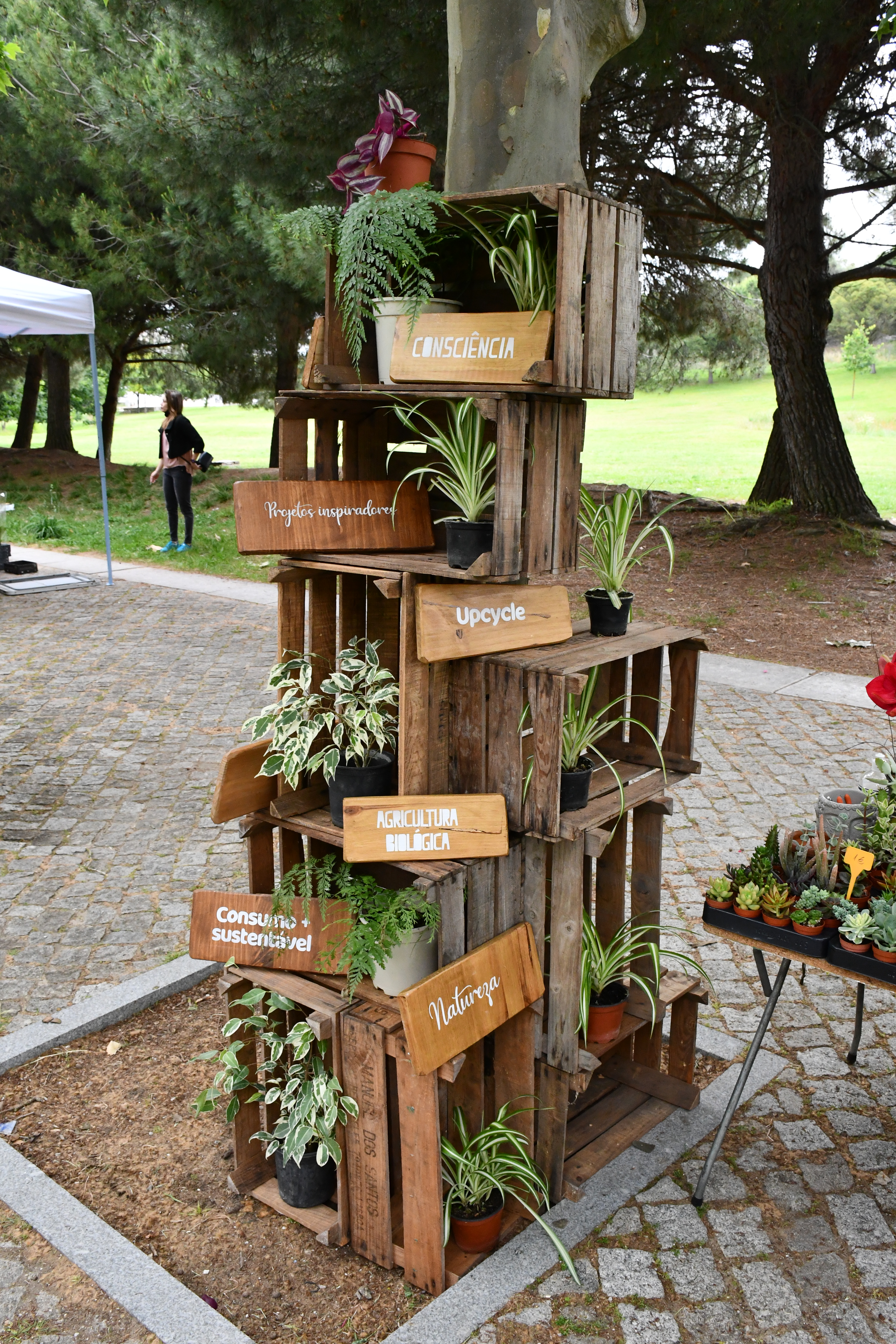 Almada Green Market