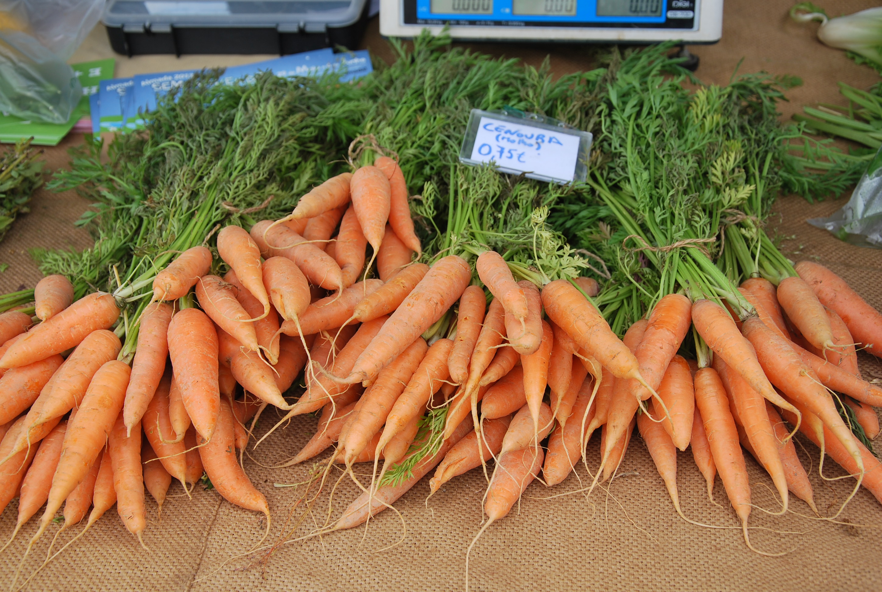 Mercado Biológico Cacilhas