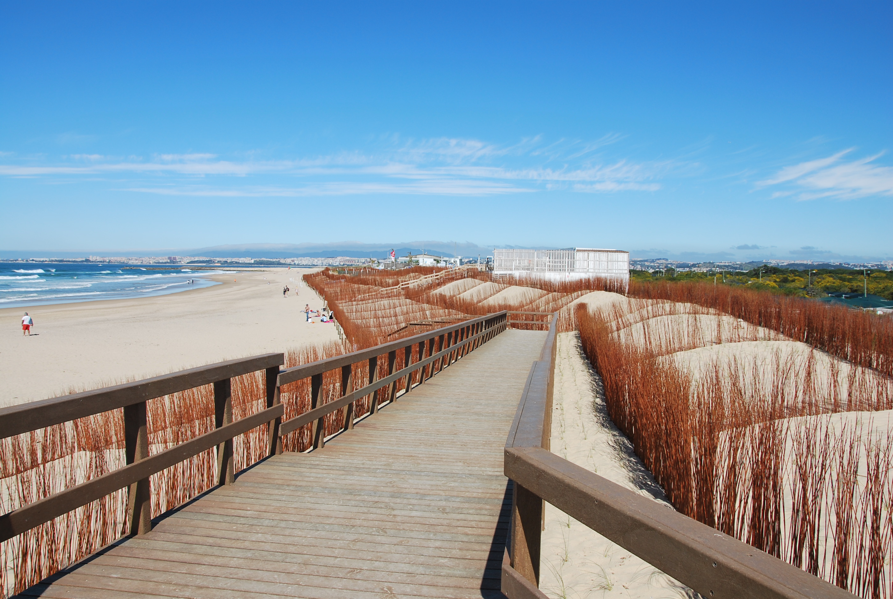 Património Natural da Costa da Caparica