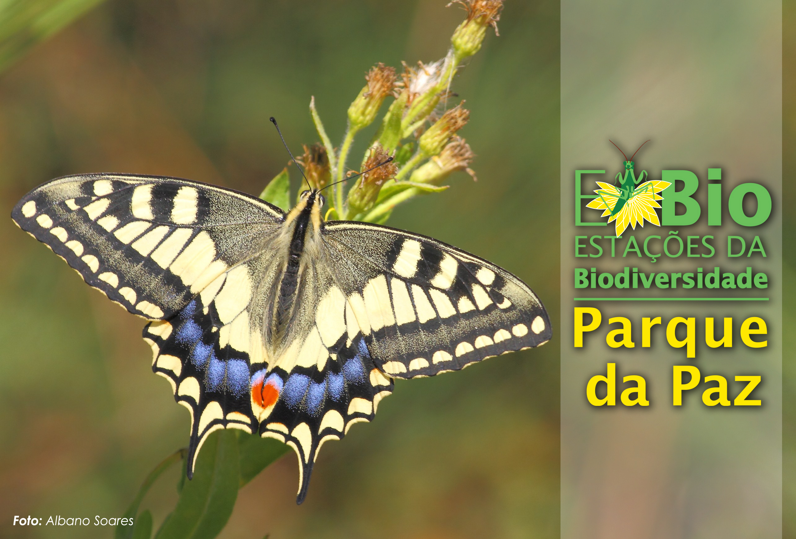 EBIO Parque da Paz