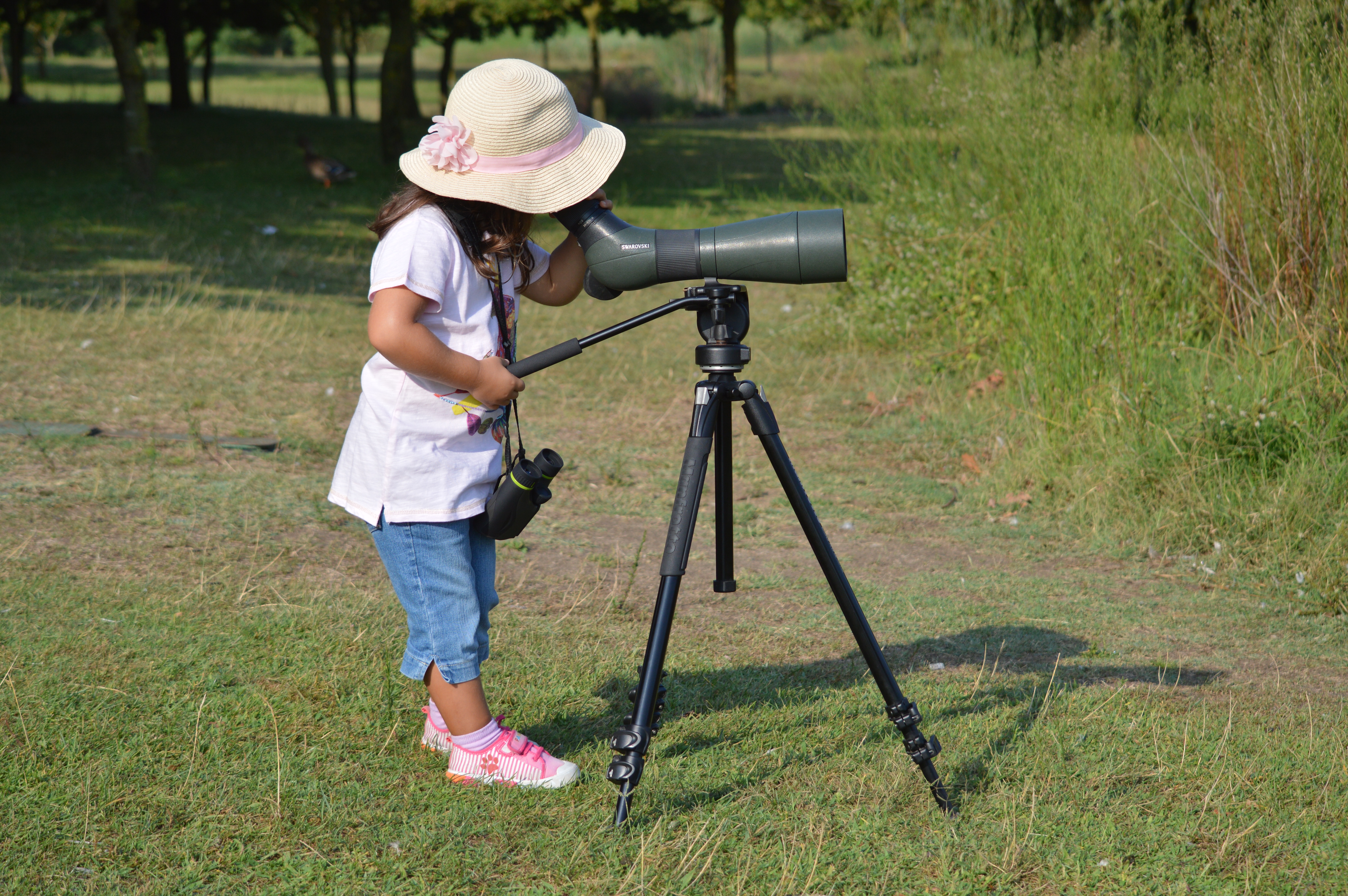 Observação de aves no Parque da Paz