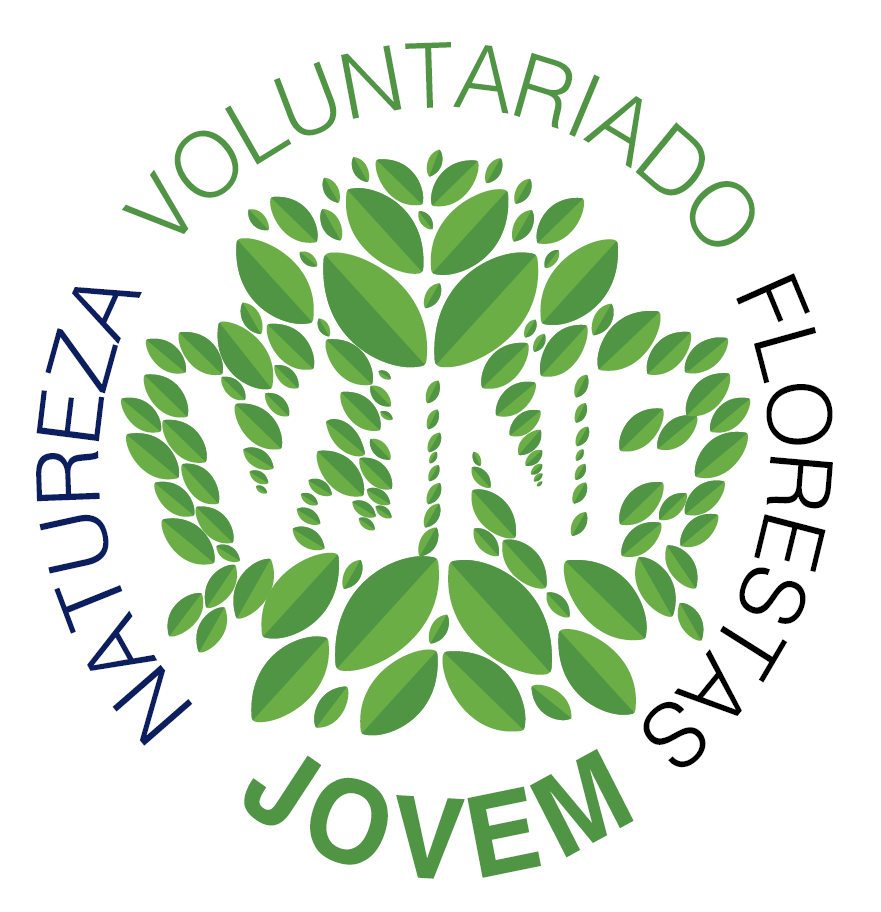 VJNF