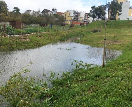 Bacia de retenção - Hortas Municipais da Quinta do Texugo_Câmara Municipal de Almada