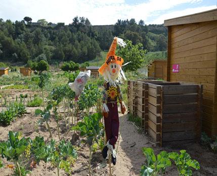 Agri_HortasS João_Câmara Municipal de Almada