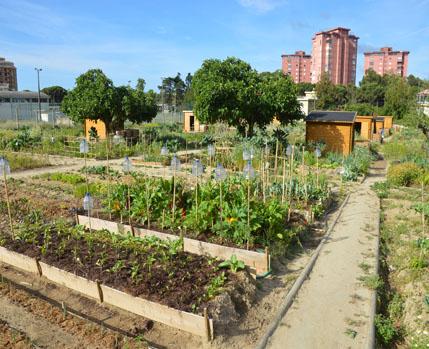 Agri Hortas S João  _Câmara Municipal de Almada