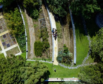 Visita Orientada ao Chão das Artes - Jardim Botânico (fotografia de Paulo Alves)