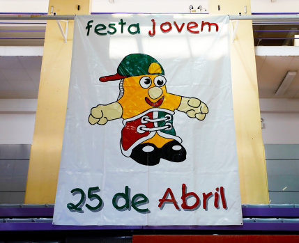 Festa Jovem