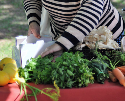 Almada Green Market_Câmara Municipal de Almada