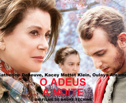 Adeus à Noite