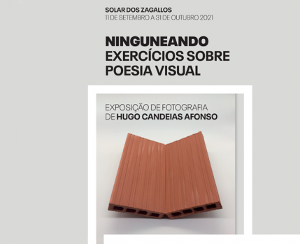 Ninguneando