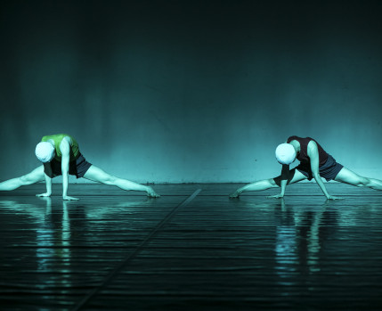 Free Style