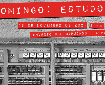 Domingo: Estudo 1