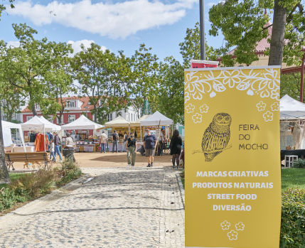 Feira do Mocho ©Carlos Luz Costa