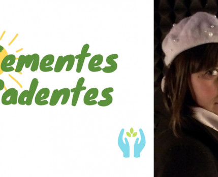 Oficina Sementes Cadentes