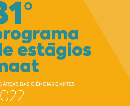 31º Programa de Estágios MAAT