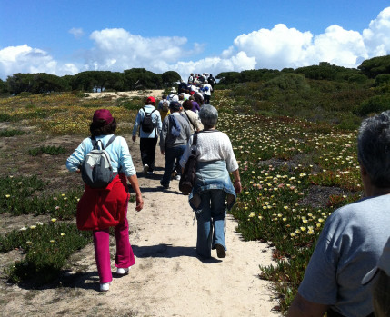 Caminhas "Alma Sénior"