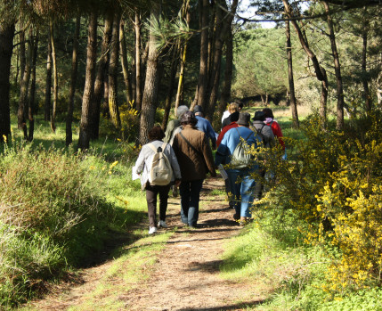 Caminhas "Alma Sénior"