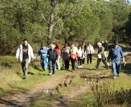 Caminhas "Alma Sénior"