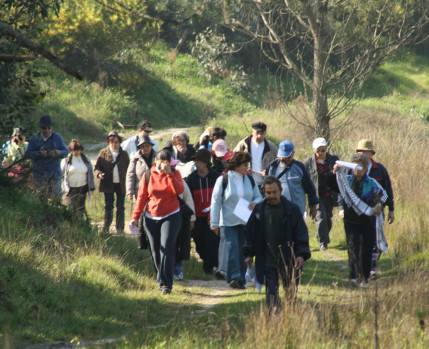 Caminhas "Alma Sénior"