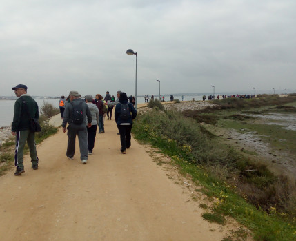 Caminhas "Alma Sénior"