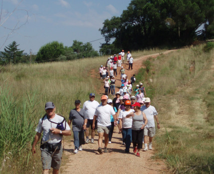 Caminhas "Alma Sénior"