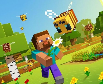 minicraft