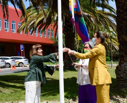 Hastear da Bandeira Arco-Íris | HGO 2022