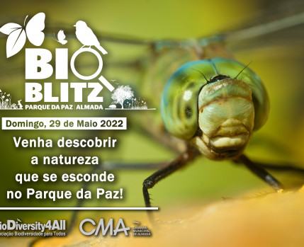 BioBlitz Parque da Paz 2022