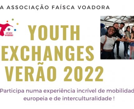 FaicasVoadora
