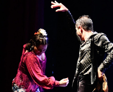 XVI Festival de Flamenco de Almada 