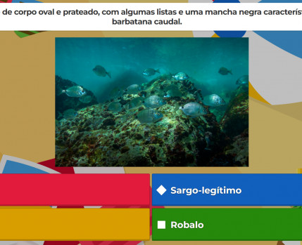 Quizzes de Verão 2022