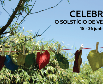 Celebrar o Solstício de verão
