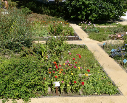 Visita orientada ao Jardim Botânico