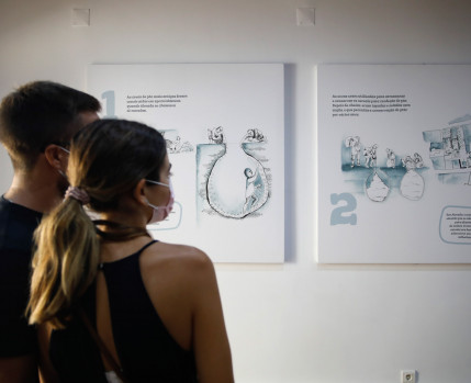 Almada, Museu, Covas de Pão, Cultura, centro histórico