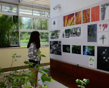 Desenho na Exposição_outubro