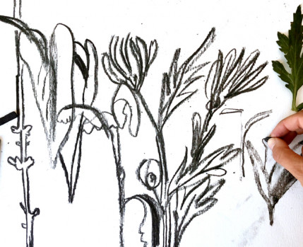 Desenho na Exposição