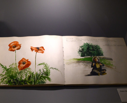 Visita às exposições - Grupo do Risco