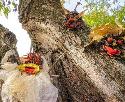 Oficina de criação de Marionetas e Formas Animadas