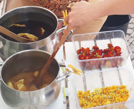 Experiências de tinturaria vegetal – Oficina para Famílias