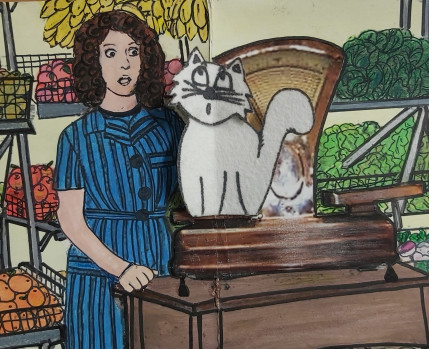 gato sapato