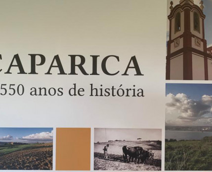 Bibliotecas