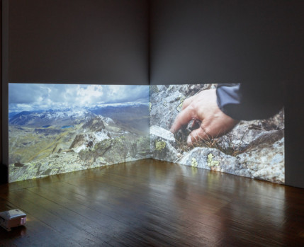 "Histórias Enraizadas - exposição de Uriel Orlow (vista do Salão Nobre)