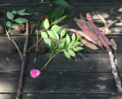 Árvores desenhada com folhas_foto de Margarida Mestre